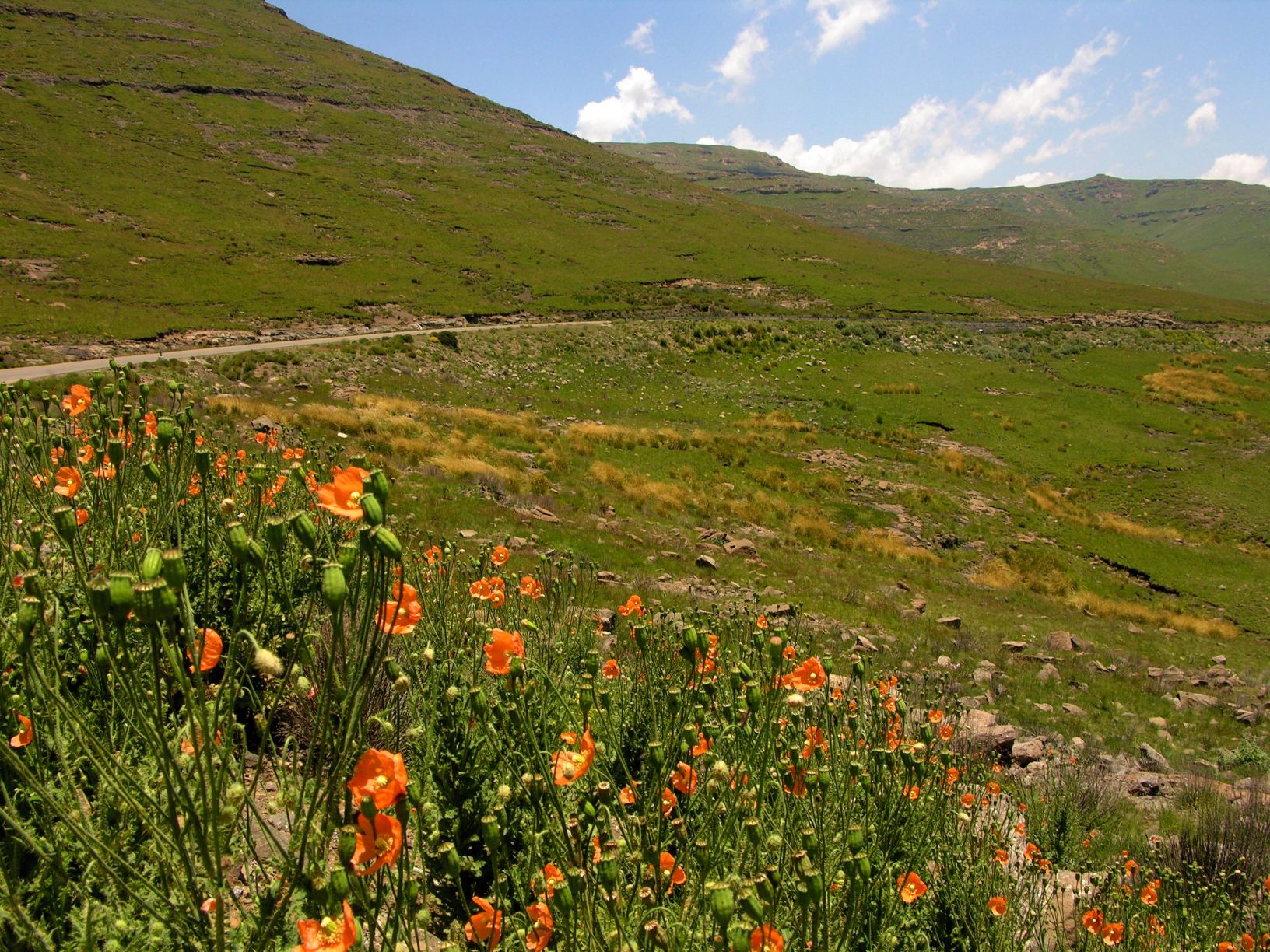 field