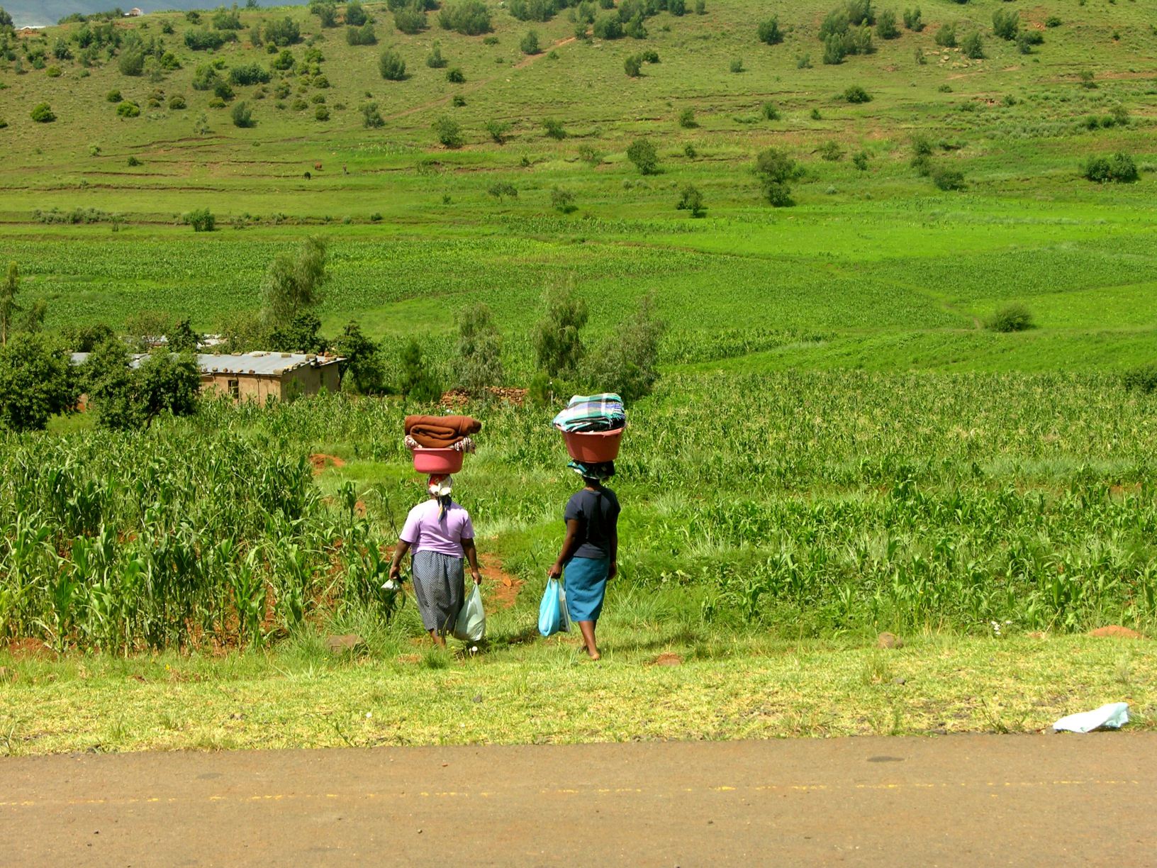 rural life